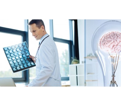 Nutrients to Charge up Brain Function